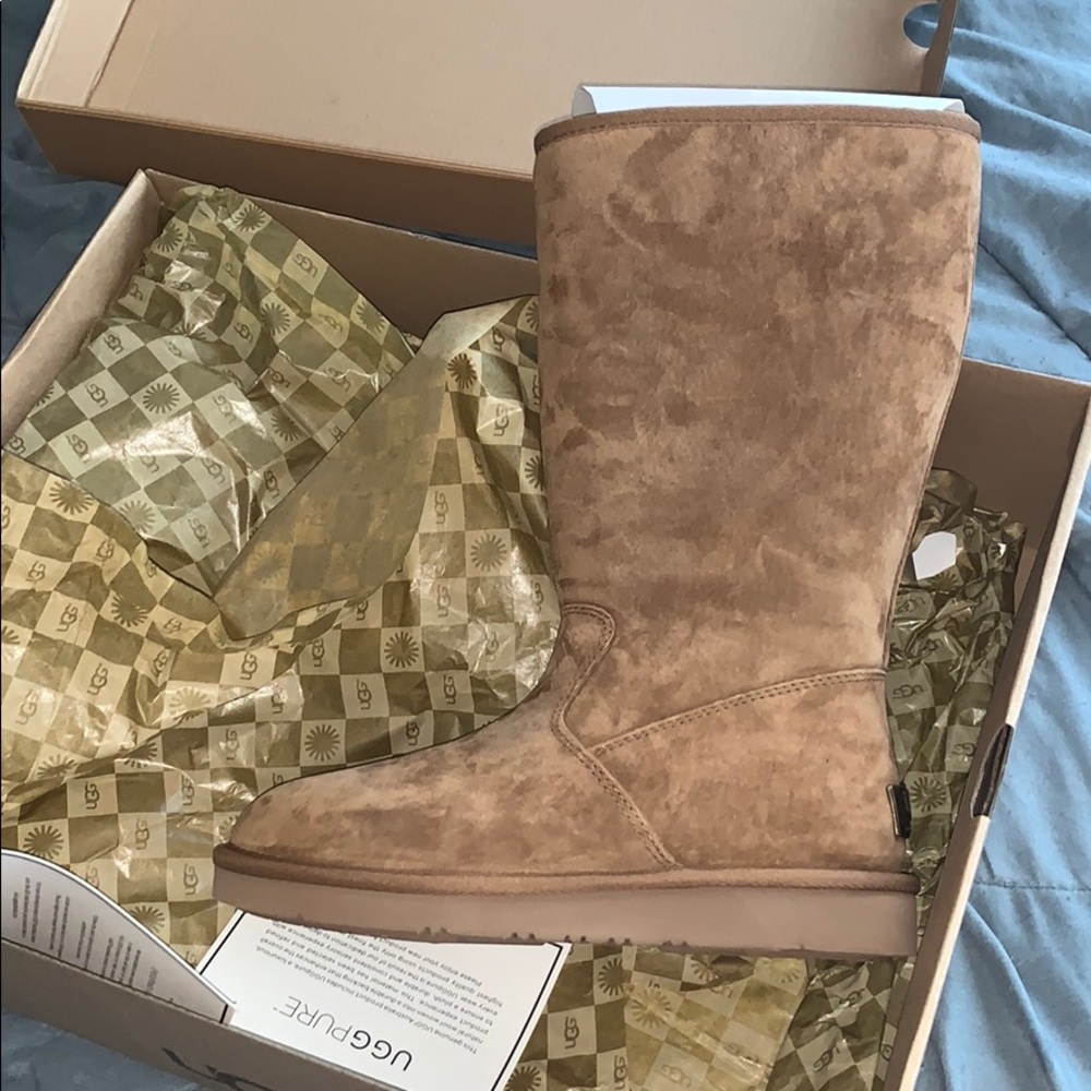 UGG Women’s Sumner Boot (Chestnut)